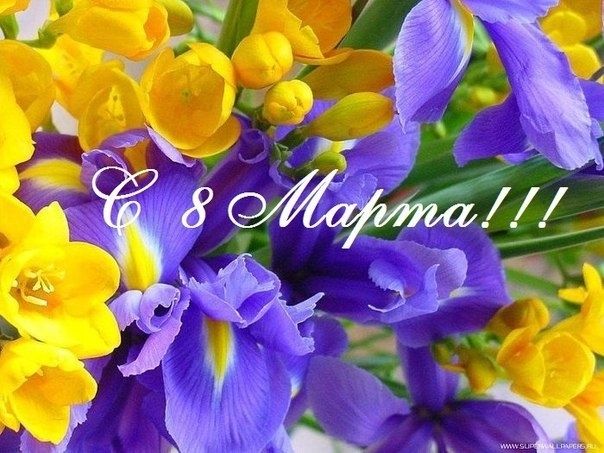 Дорогие наши женщины